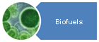Biofuels