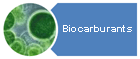 Biocarburants