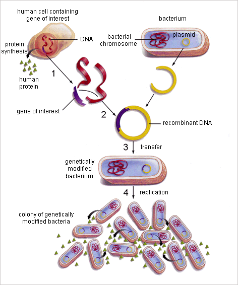 Biotechnology
