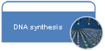 Synthesis